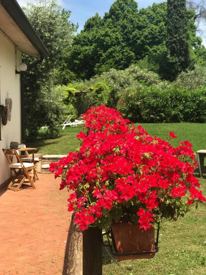 Agriturismo B&B Le Casette Sul Garda Cavaion Veronese Kültér fotó
