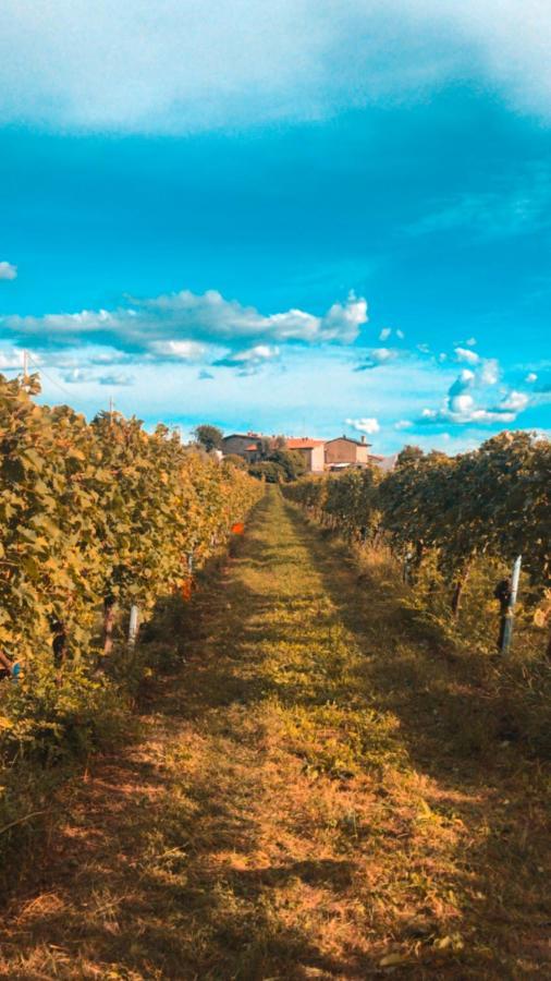 Agriturismo B&B Le Casette Sul Garda Cavaion Veronese Kültér fotó