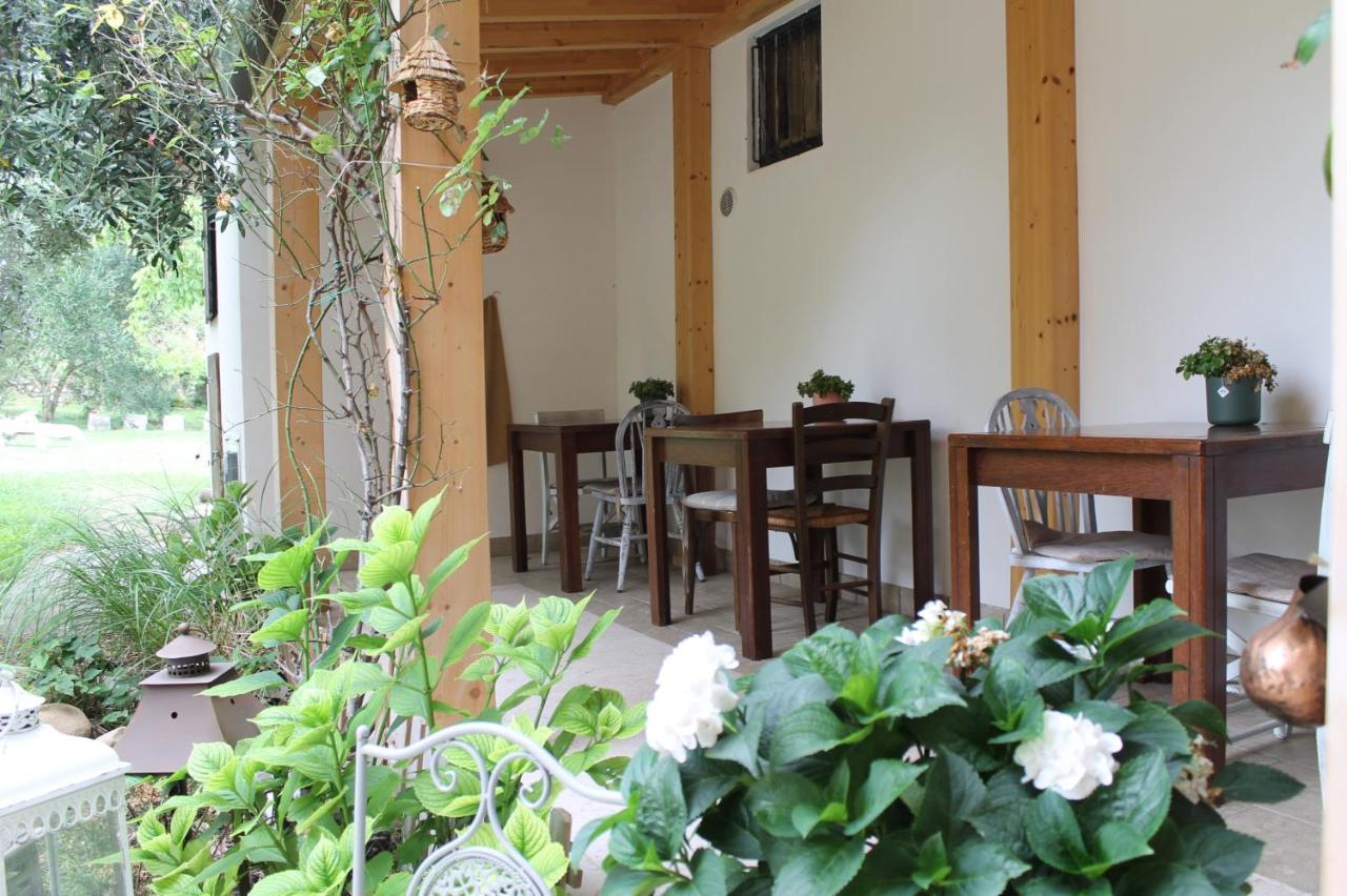 Agriturismo B&B Le Casette Sul Garda Cavaion Veronese Kültér fotó